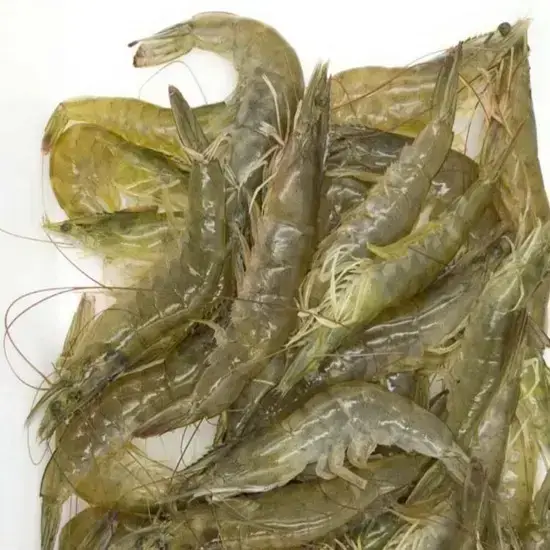 Tôm thẻ 25-30 con/kg