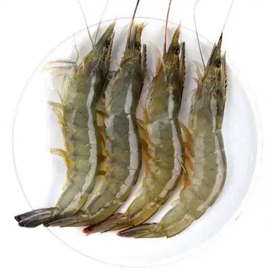 Tôm thẻ 25-30 con/kg