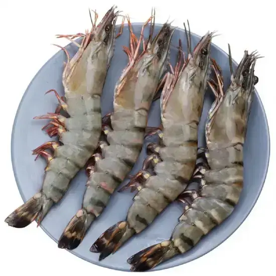 Tôm sú sống 50-60 con/kg