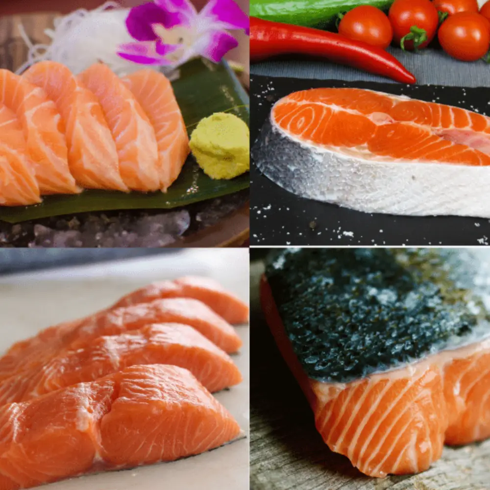 Cá Hồi Tươi Sống Nhập Khẩu