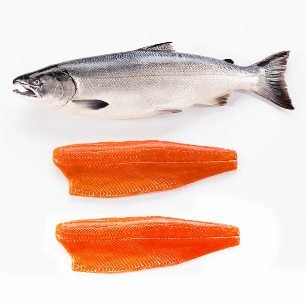 Cá Hồi Tươi Sống Nhập Khẩu
