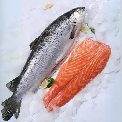 Cá Hồi Tươi Sống Nhập Khẩu