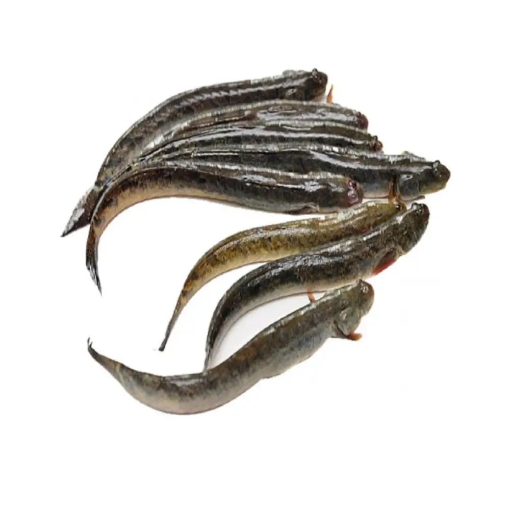 Cá Kèo Tươi Sống Loại 1 