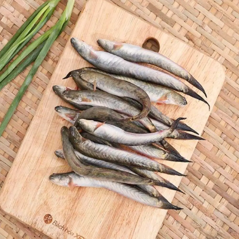 Cá Kèo Tươi Sống Loại 1 
