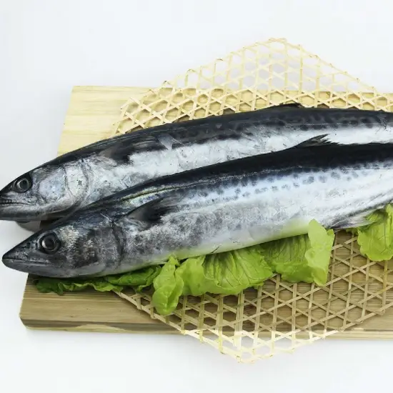 Cá Nục Tươi Sống