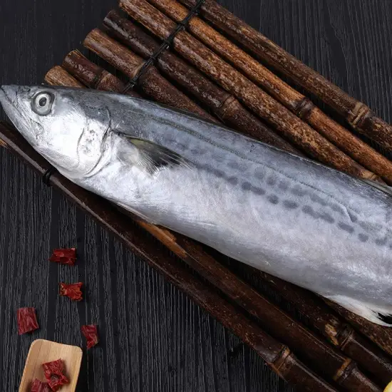 Cá Nục Tươi Sống