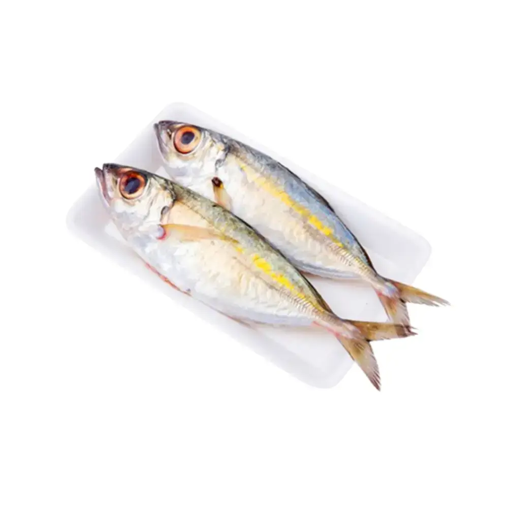 Cá Bạc Má Tươi Sống