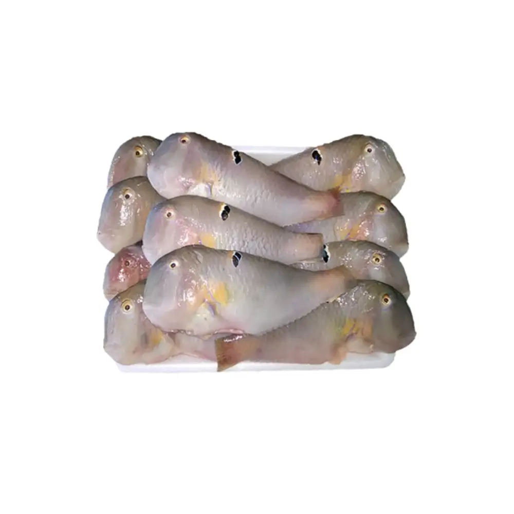 Cá Mó Tươi Làm Sạch