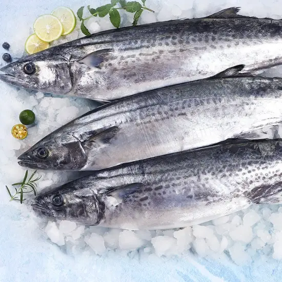 Cá Saba Tươi Sống Làm Sạch