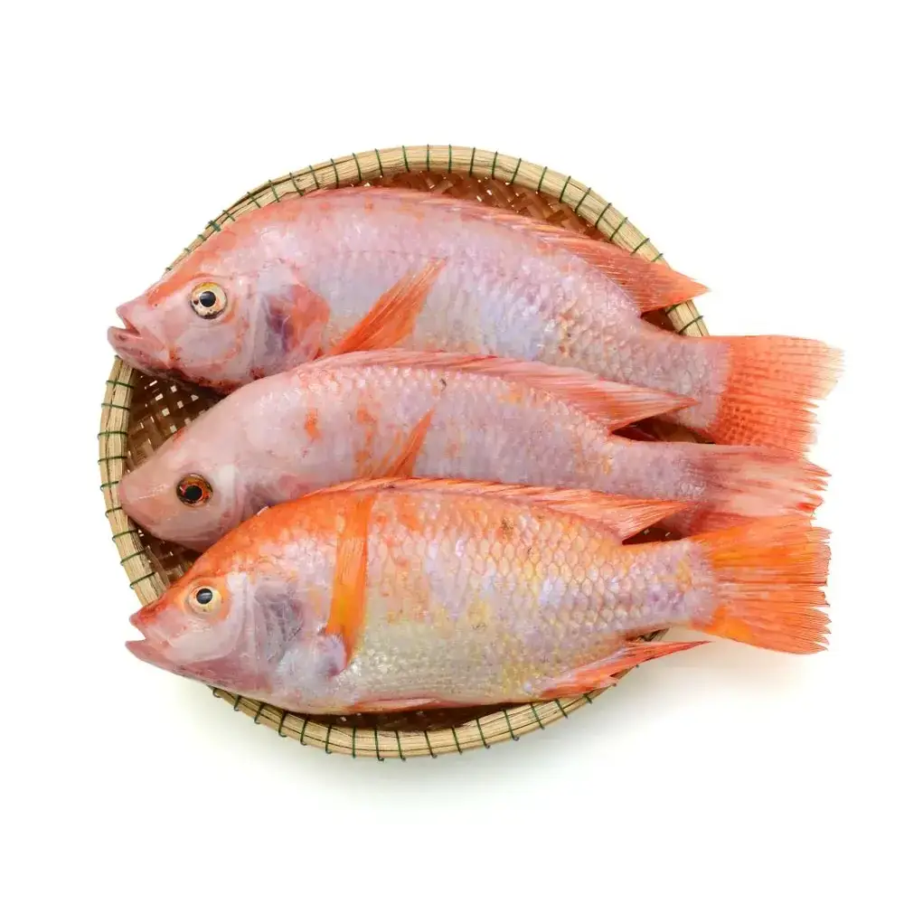 Cá Diêu Hồng Tươi Sống Size 800Gr - 1Kg