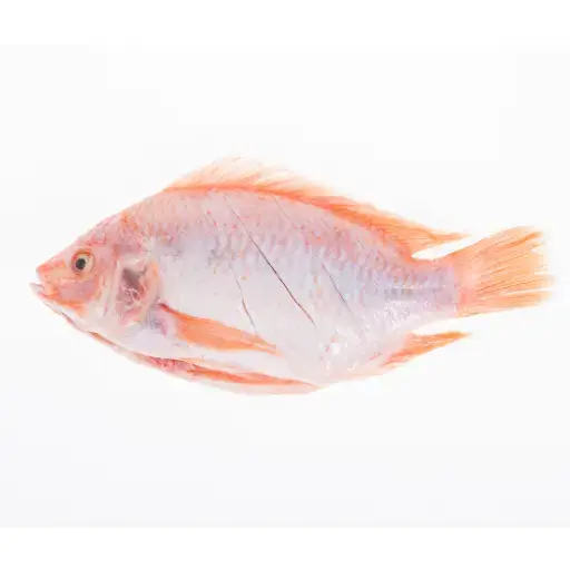 Cá Diêu Hồng Tươi Sống Size 800Gr - 1Kg