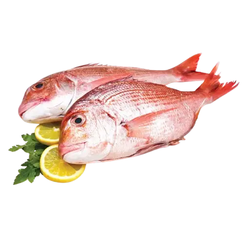 Cá Phèn Tươi Sống Size 5-6 Con/Kg