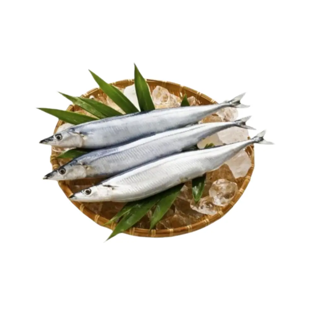 Cá Thu Đao Tươi Sống 