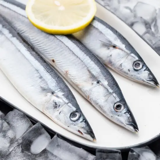 Cá Thu Đao Tươi Sống 