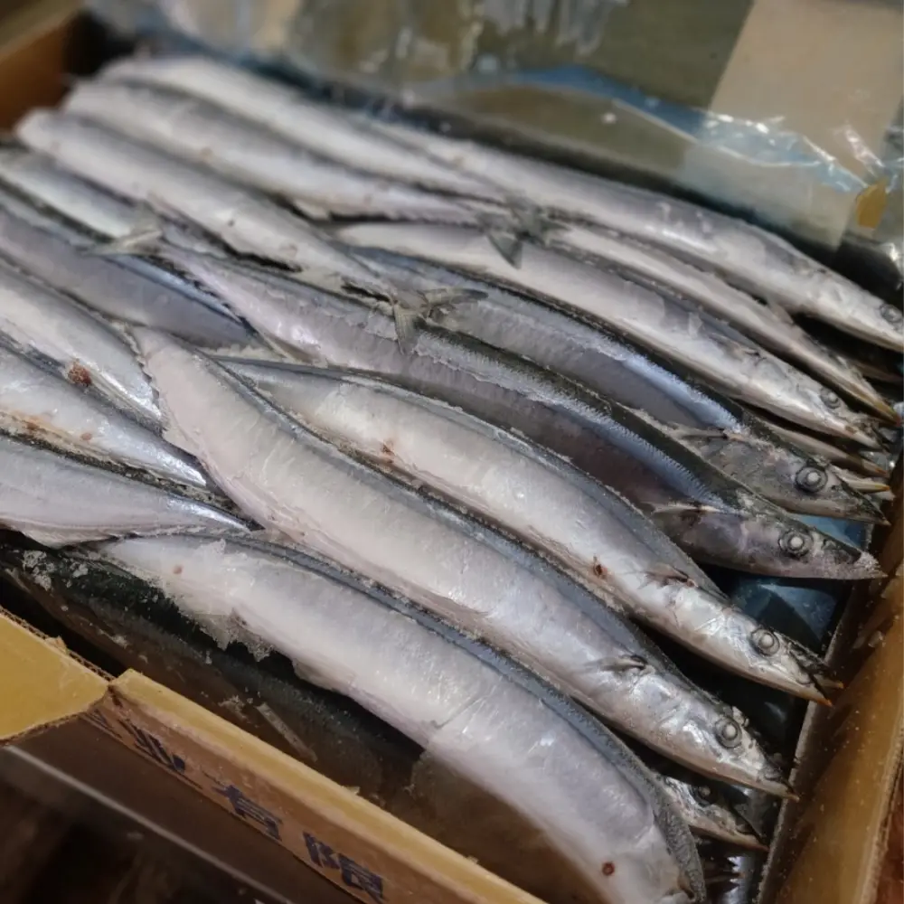 Cá Thu Đao Tươi Sống 