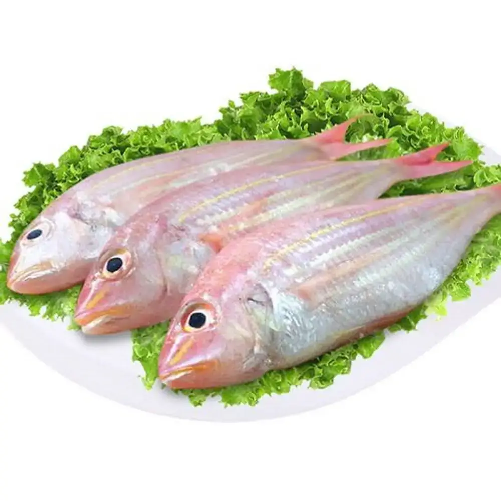 Cá Hường Tươi Sống