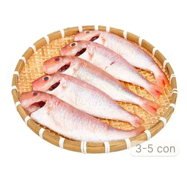 Cá Hường Tươi Sống