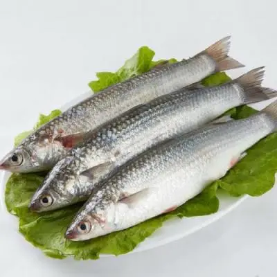 Cá Đối Tươi Nguyên Con