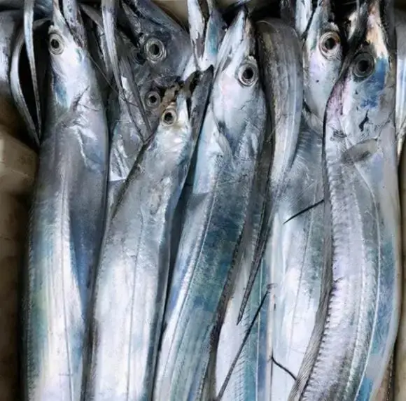 Cá Hố Tươi Nguyên Con