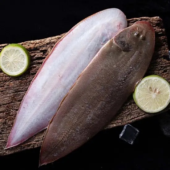 Cá Bơn (Cá Lưỡi Trâu) Tươi