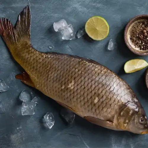 Cá Trắm Đen Nguyên Con