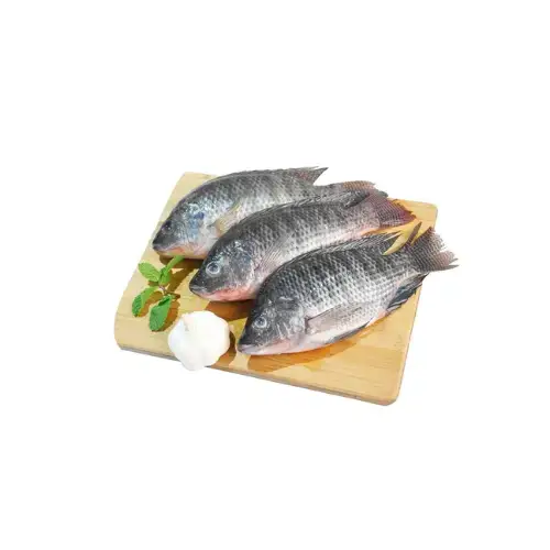 Cá Rô Phi Tươi Sống