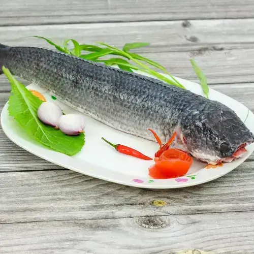 Cá Lóc Tươi Sống 