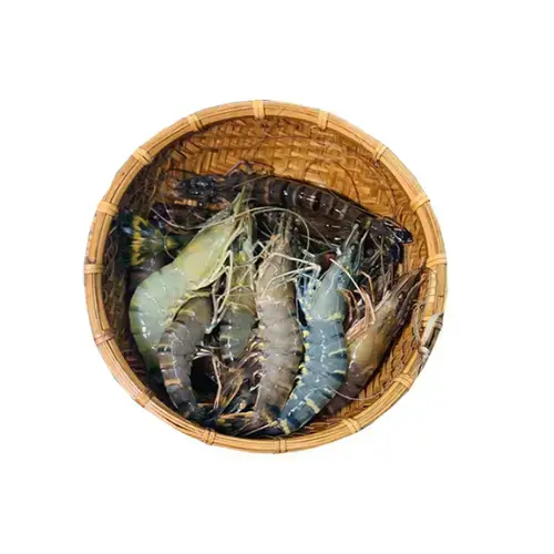 Tôm Sú Nguyên Con Size 10-15 Con/Kg