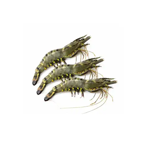 Tôm Thẻ Nguyên Con Size 70-80 Con/Size