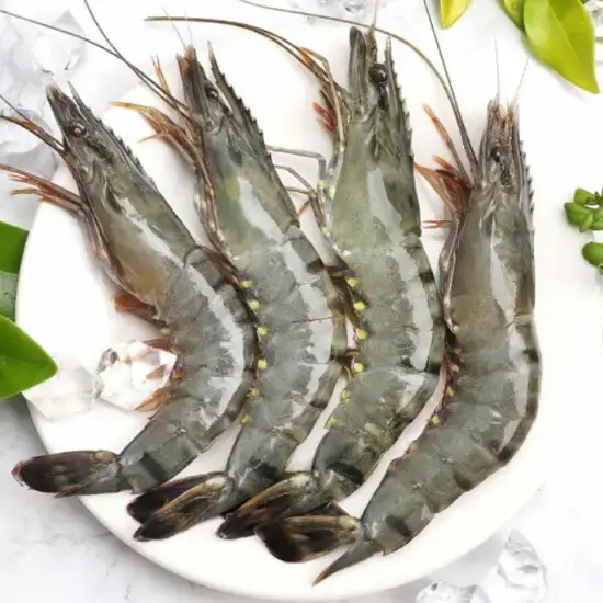 Tôm Thẻ Nguyên Con Size 70-80 Con/Size