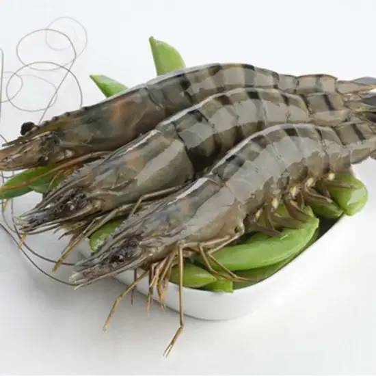 Tôm Thẻ Tươi Size 40–50 con/kg