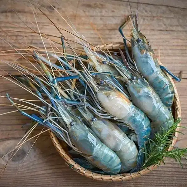 Tôm Càng Xanh Sống – Size 15–20 Con/Kg