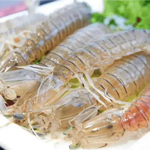 Tôm Tít (Bề Bề) Tươi Sống Size 4-5 Con/Kg 