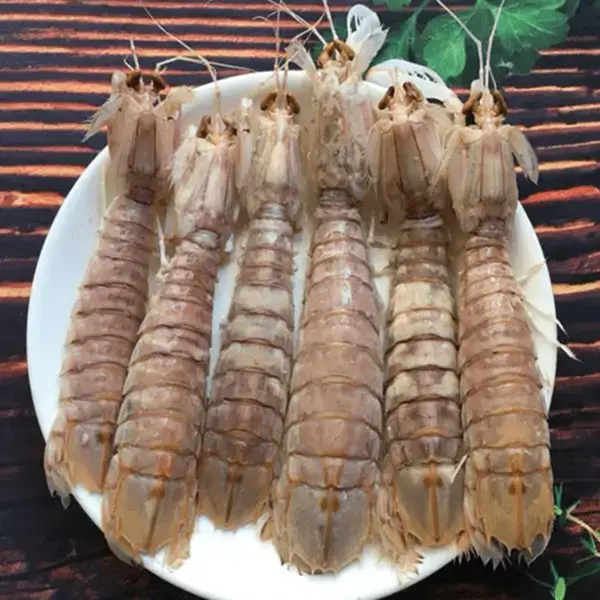 Tôm Tít Gạch Tươi Size 50–70 Con/Kg