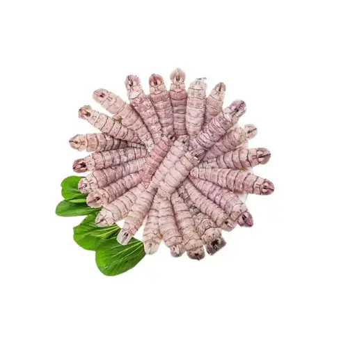 Tôm Tít (Bề Bề) Tươi Size 12–15 Con/Kg