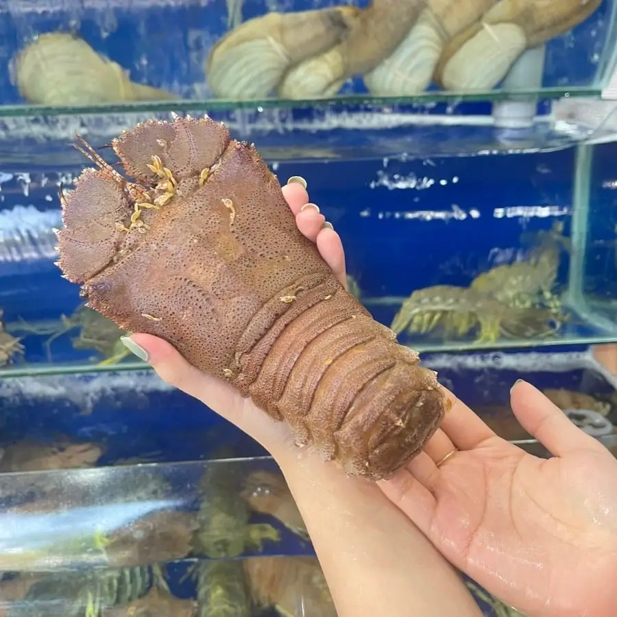 Tôm Mũ Ni Trắng Tươi Sống 