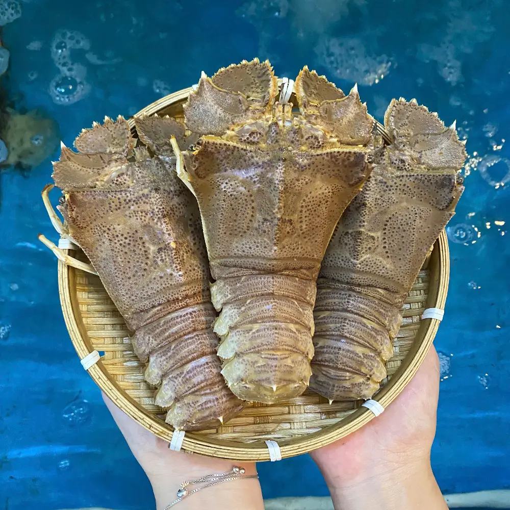 Tôm Mũ Ni Trắng Tươi Sống 