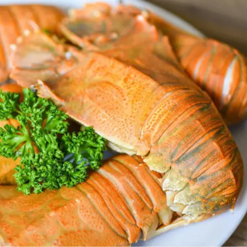 Tôm Mũ Ni Đỏ Tươi Sống