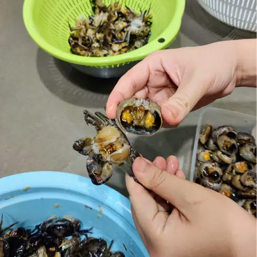 Cua Đồng Sống Thiên Nhiên