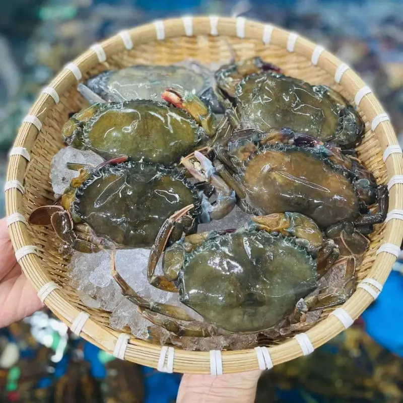 Cua Lột Tươi Size 8-10 Con/Kg