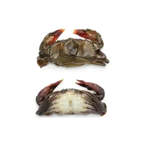 Cua Lột Tươi Size 7-8 Con Giá Tốt