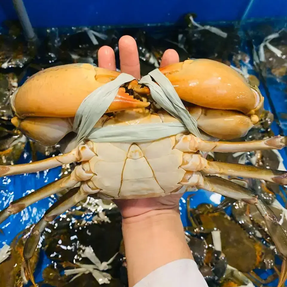 Cua Thịt Tươi Loại 1 Size 2-3 Con