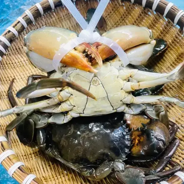 Cua Thịt Tươi Loại 1 Size 500-700Gr/Con