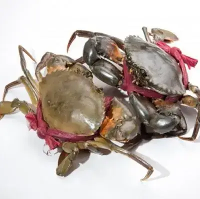 Cua Thịt Tươi Loại 1 Size 700-1000Gr/Con