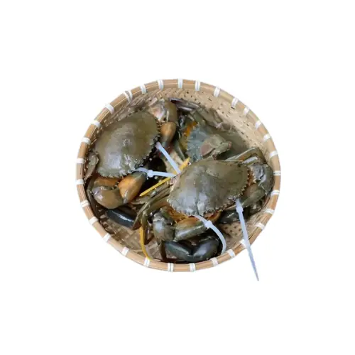 Cua Gạch Sống Loại 1 Size 200-300Gr/Con