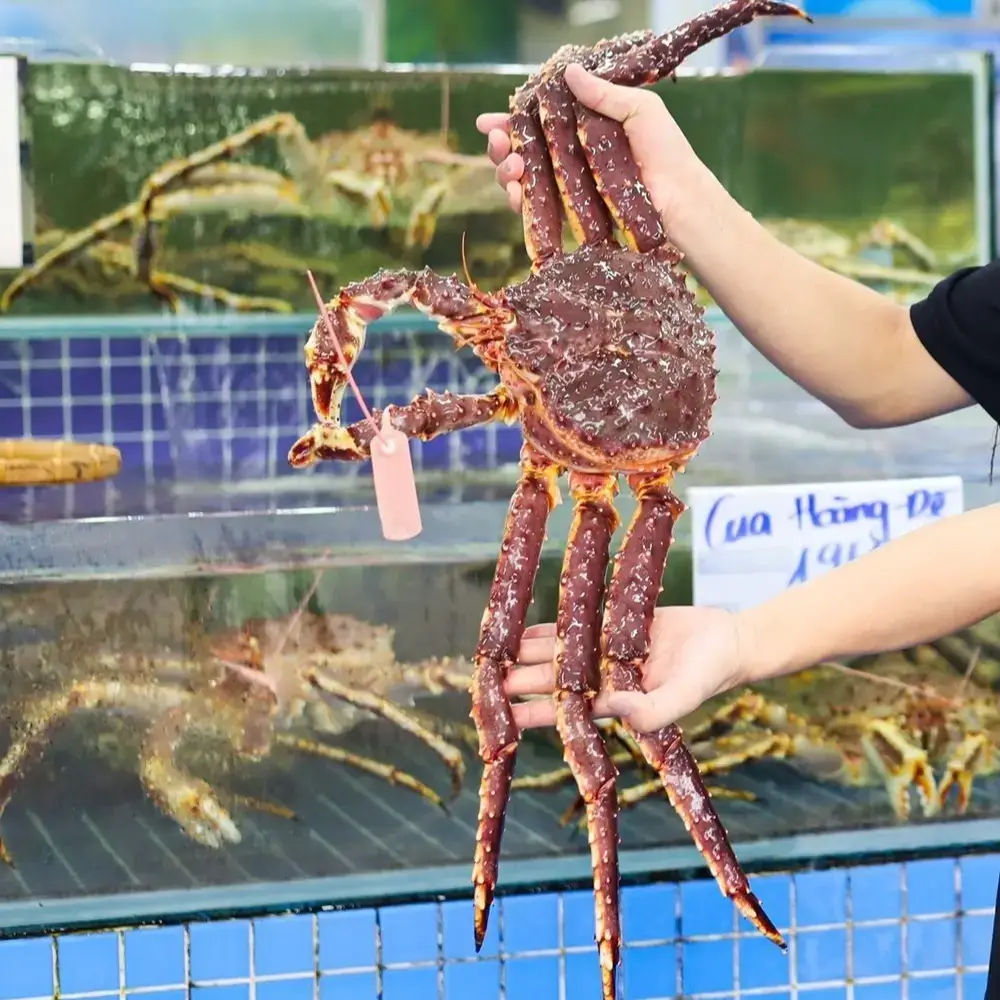 Cua Hoàng Đế Tươi Sống Size 2-2.5Kg/Con