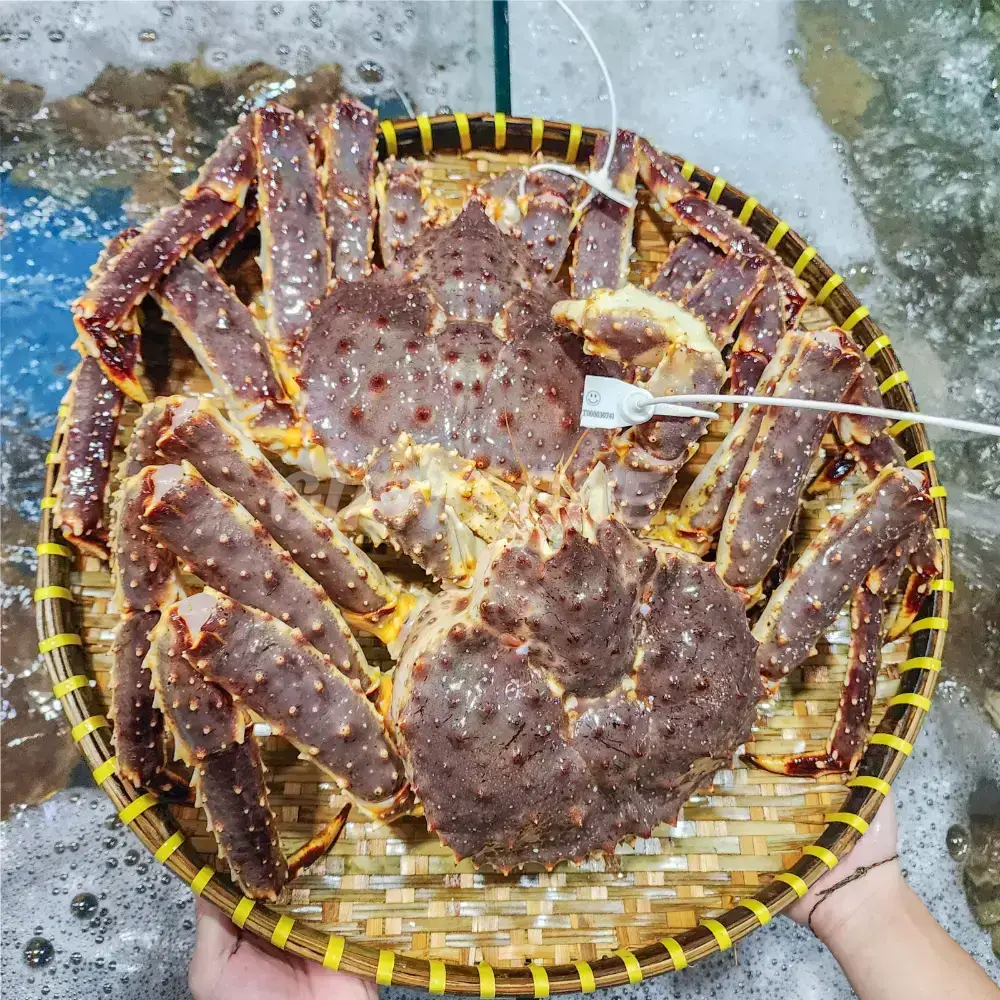 Cua Hoàng Đế Size 4-4.5Kg/Con