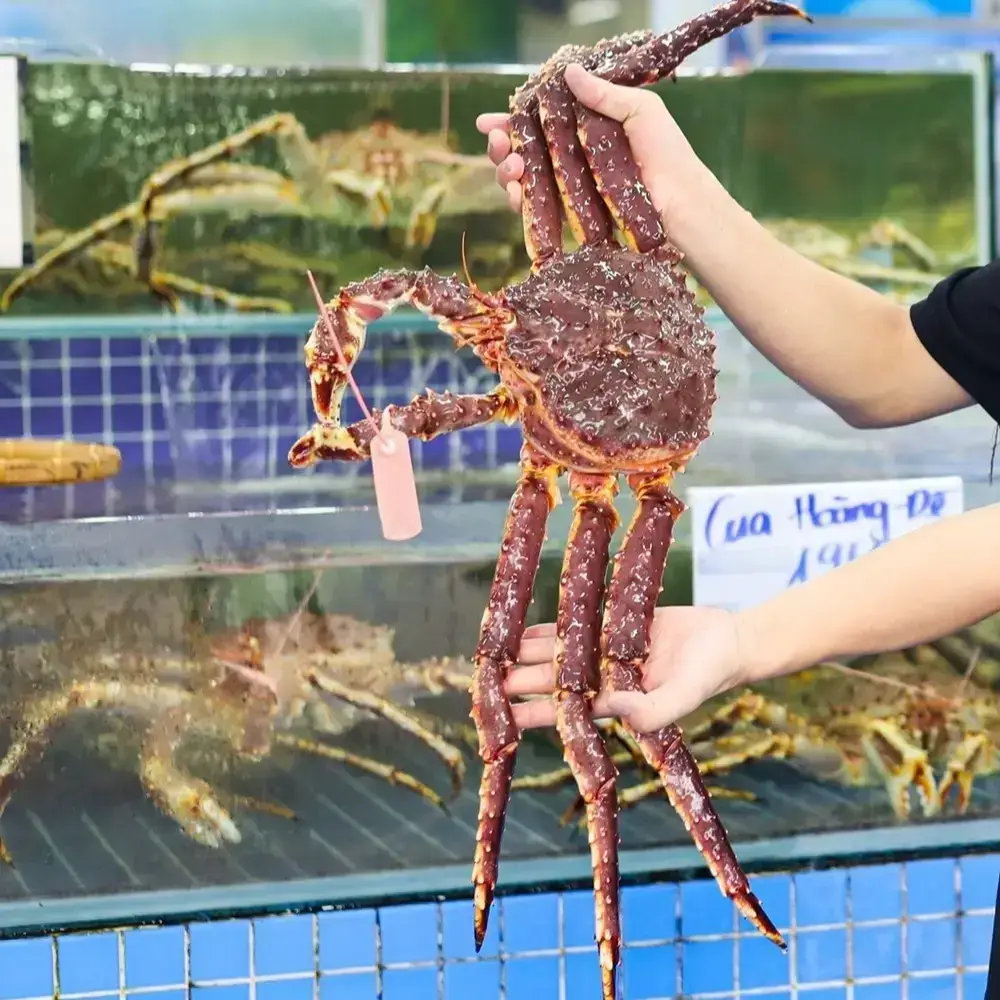 Cua Hoàng Đế Size 4-4.5Kg/Con