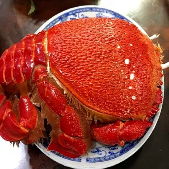 Cua Huỳnh Đế Tươi Sống Loại 1