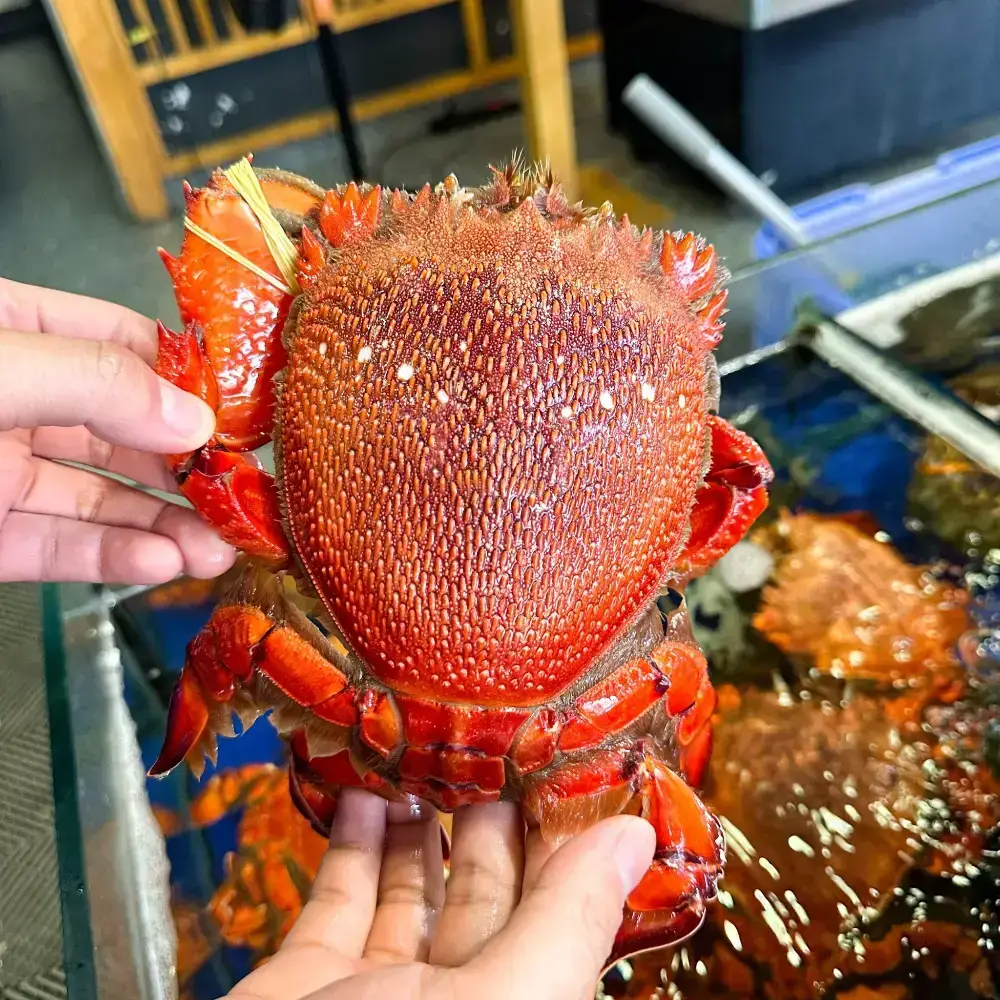 Cua Huỳnh Đế Tươi Sống Size Nhỏ 300-400Gr